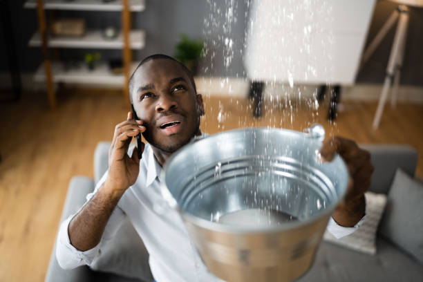 Best 24/7 water damage repair  in Watertown, WI