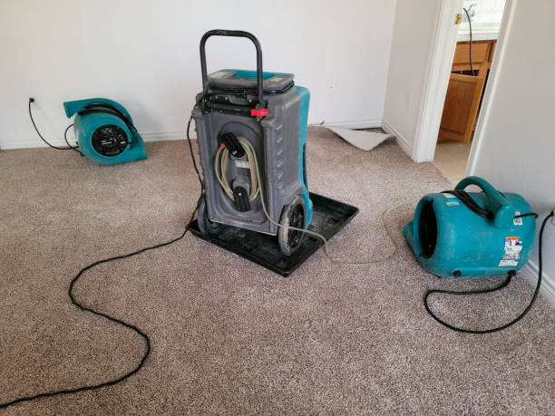 Best Flood damage cleanup  in Watertown, WI