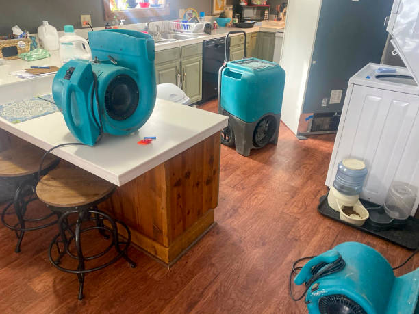 Best Fire Damage Restoration  in Watertown, WI