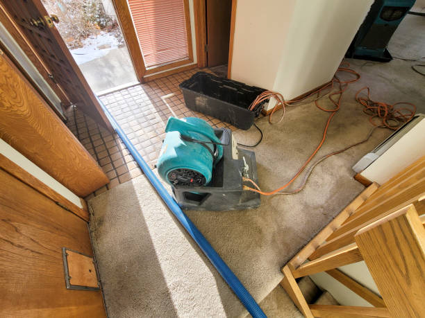 Best Water damage restoration near me  in Watertown, WI