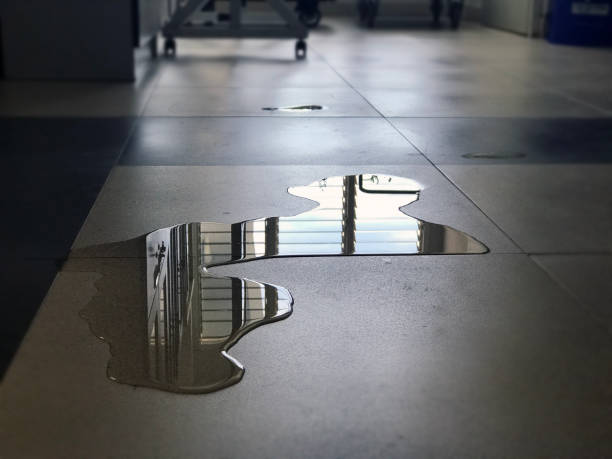 Best Water damage contractors near me  in Watertown, WI