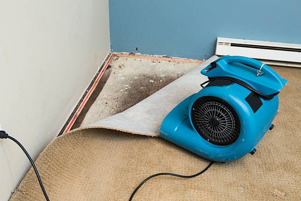 Best Water damage repair service  in Watertown, WI